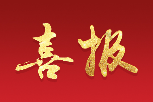 喜报 | 3377荣获“深圳知名品牌”荣誉称号！