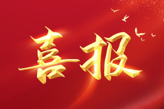 喜报 | 3377荣登2024粤港澳大湾区企业创新力榜单